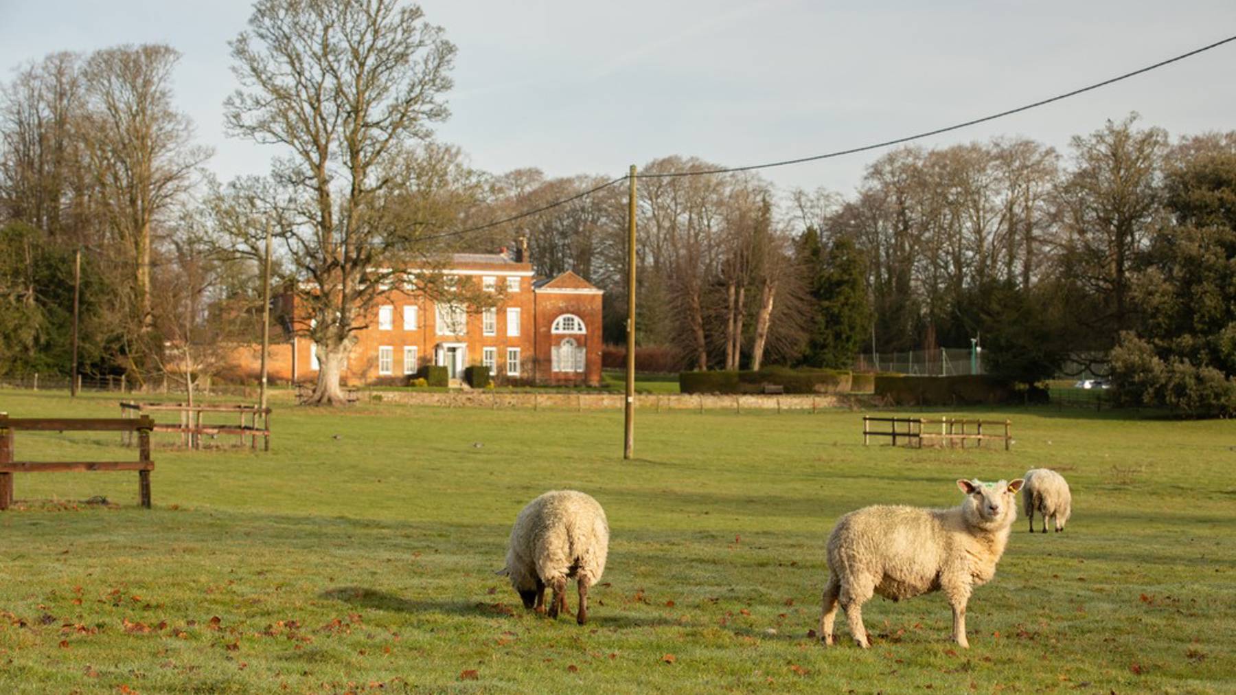 Local area photography for houses for sale in Basingstoke