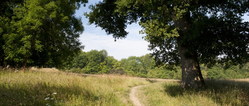 Vb494593 3943 52 800X342