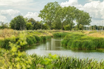 Staying active around Fernleigh Park