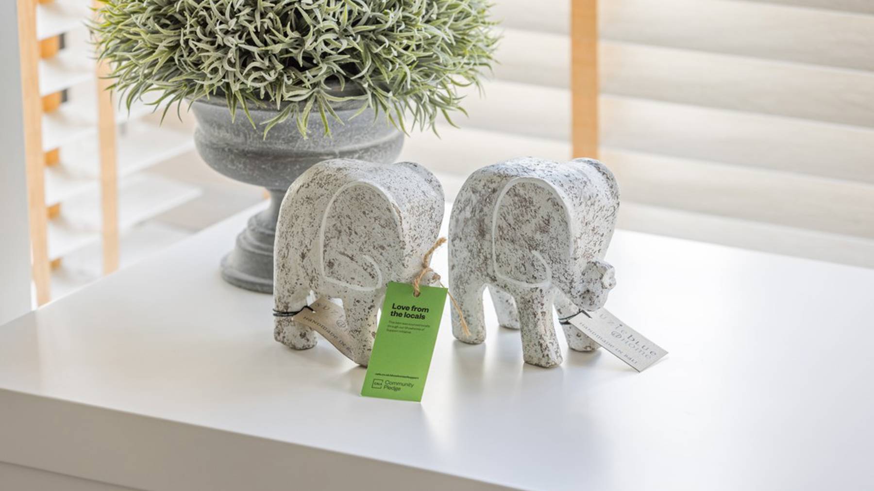 Showhome of Support at Chestnut Fields