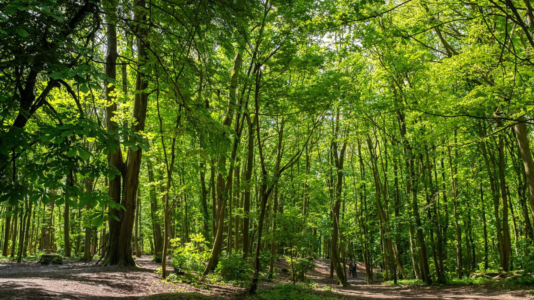 Local area photography for houses for sale in Basingstoke