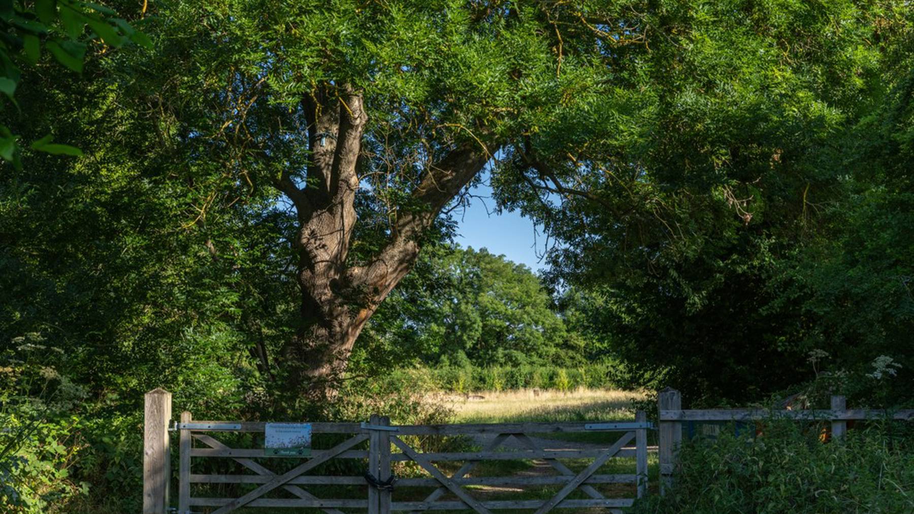 Stotfold Watermill & Nature Reserve Randall Fields Stotfold