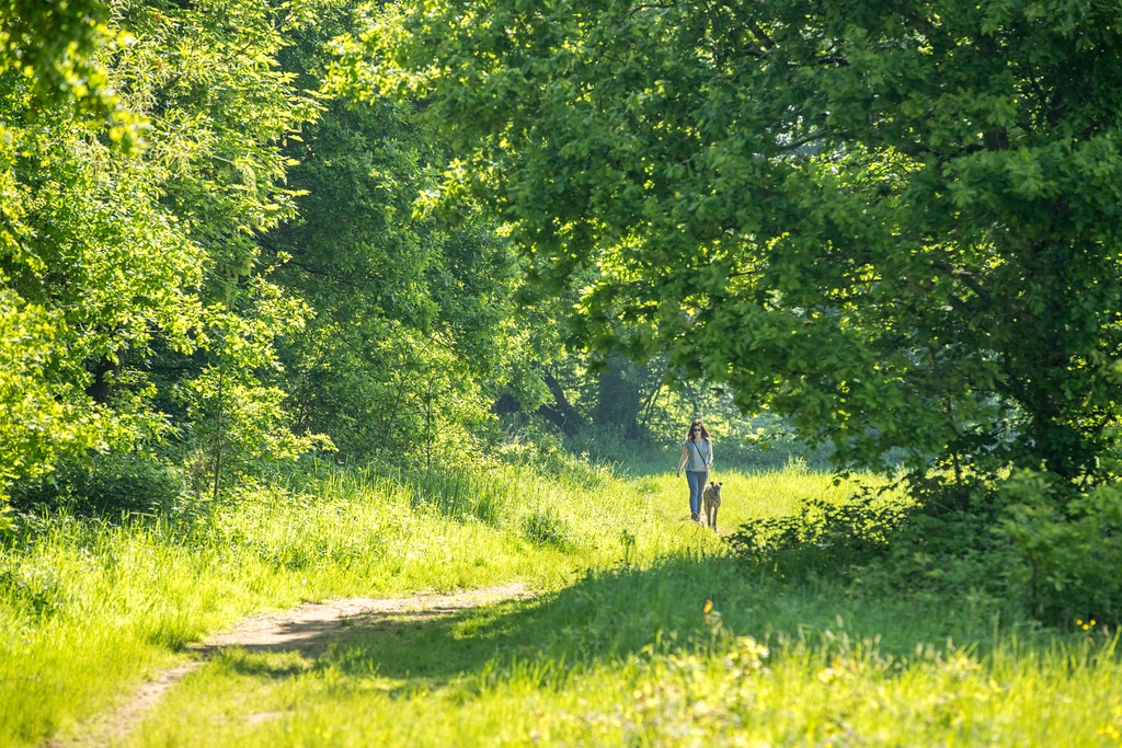 New homes in Deepcut