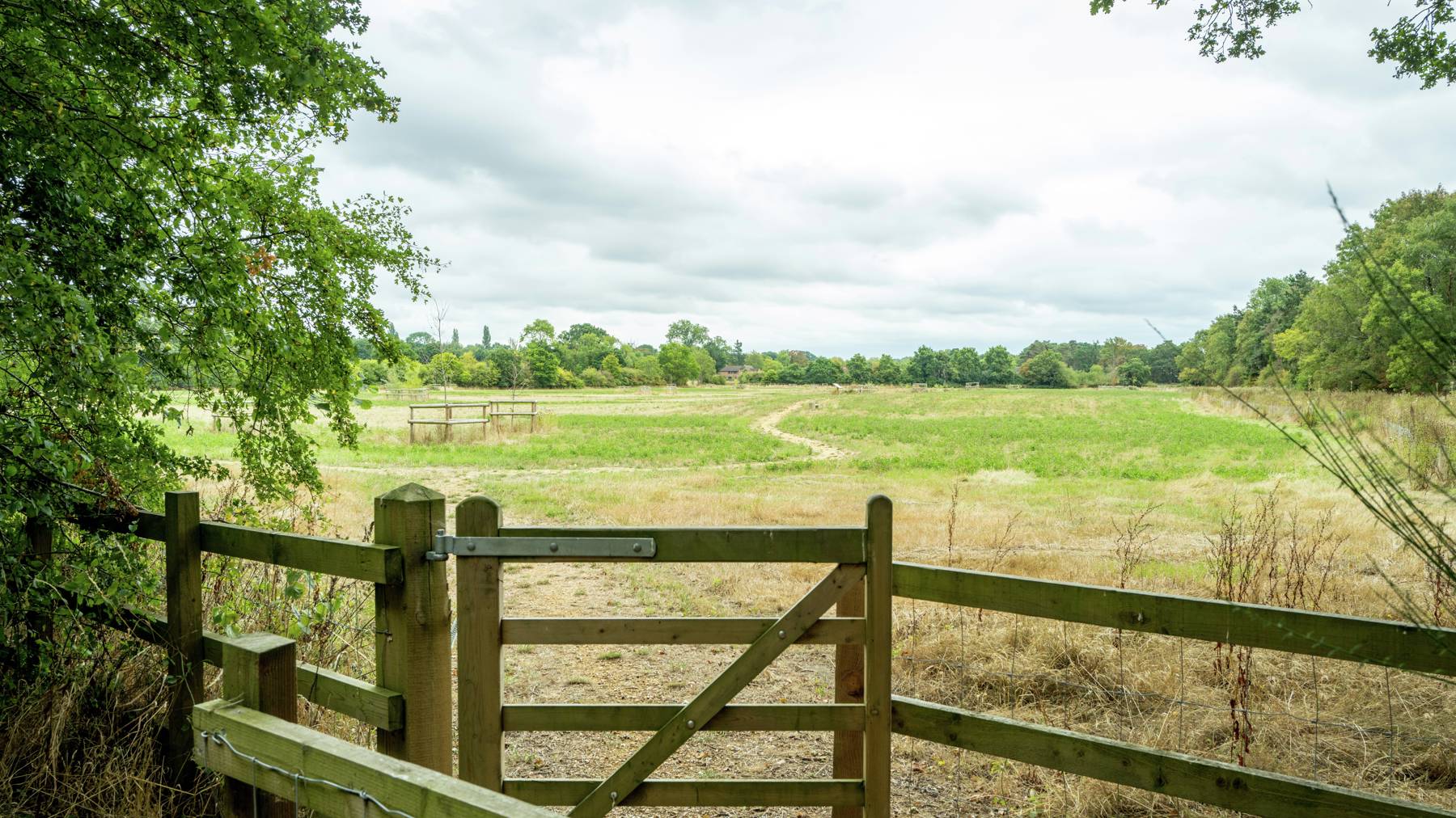 Wokingham Local Area