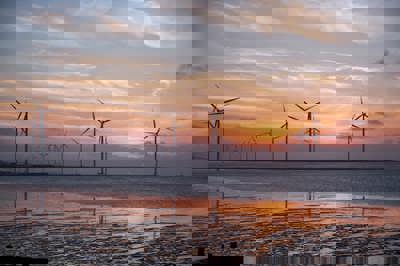 Cala's Journey to Net Zero Carbon Homes