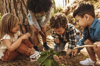 The Heat is on - How to care for wildlife in your garden this summer