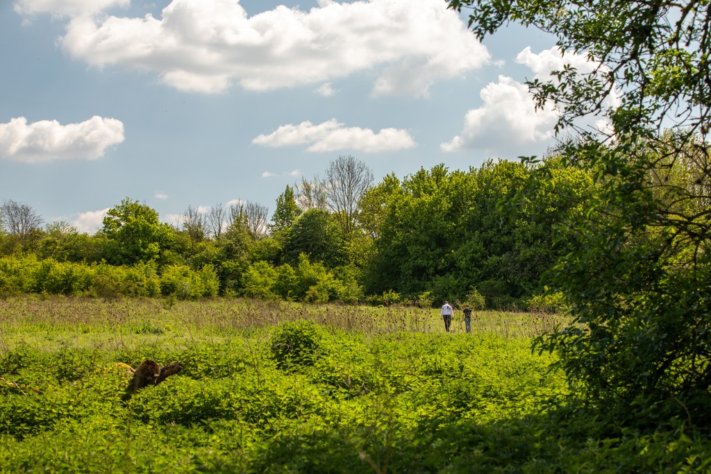 Local area photography for houses for sale in Basingstoke