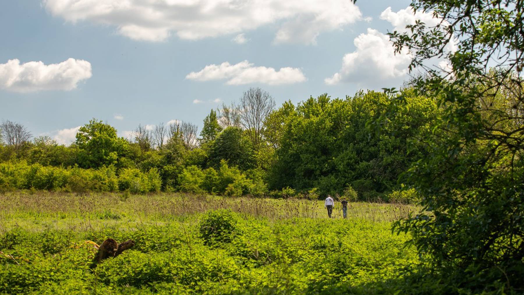 Local area photography for houses for sale in Basingstoke