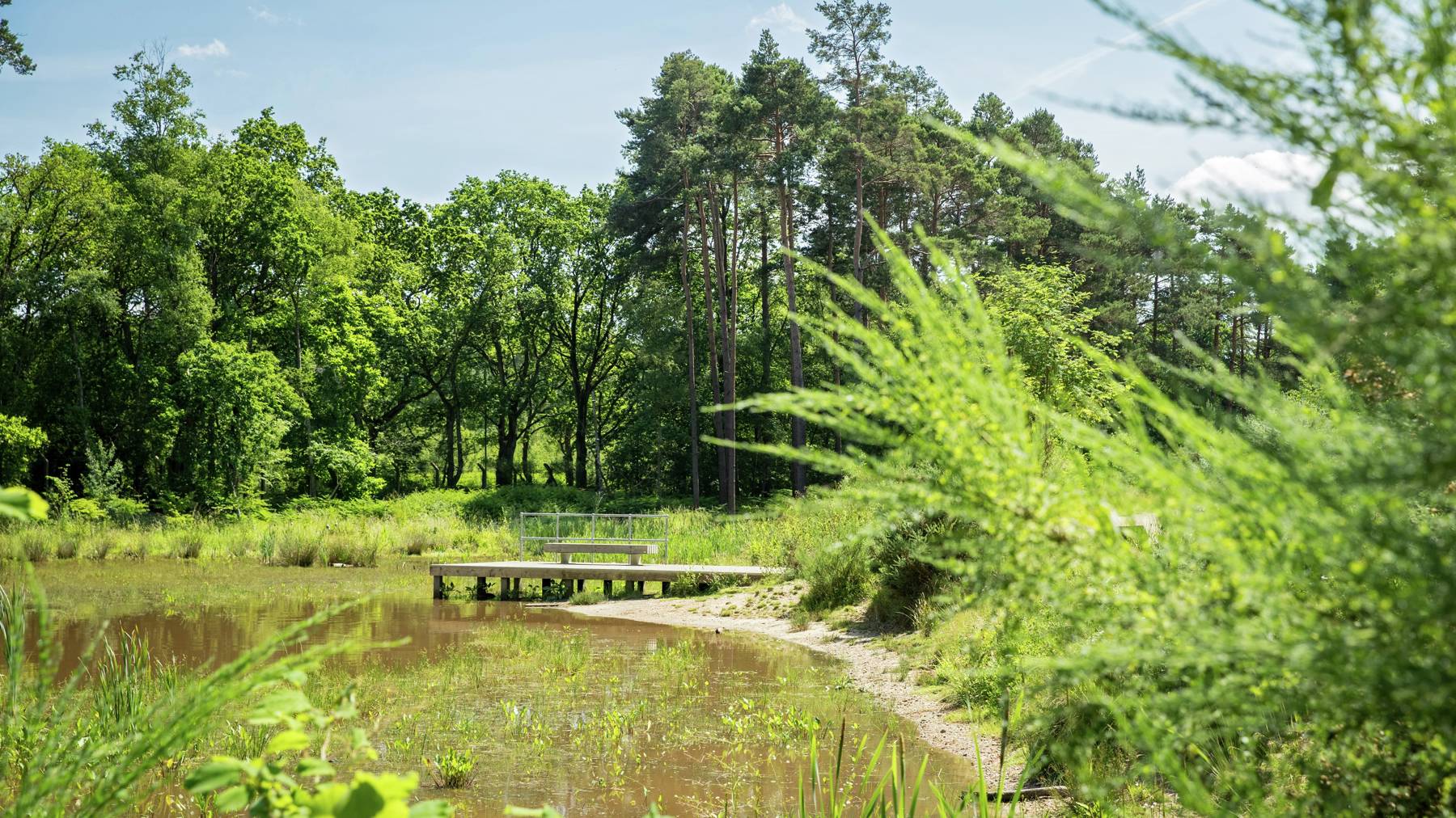 Crowthorne Local Area