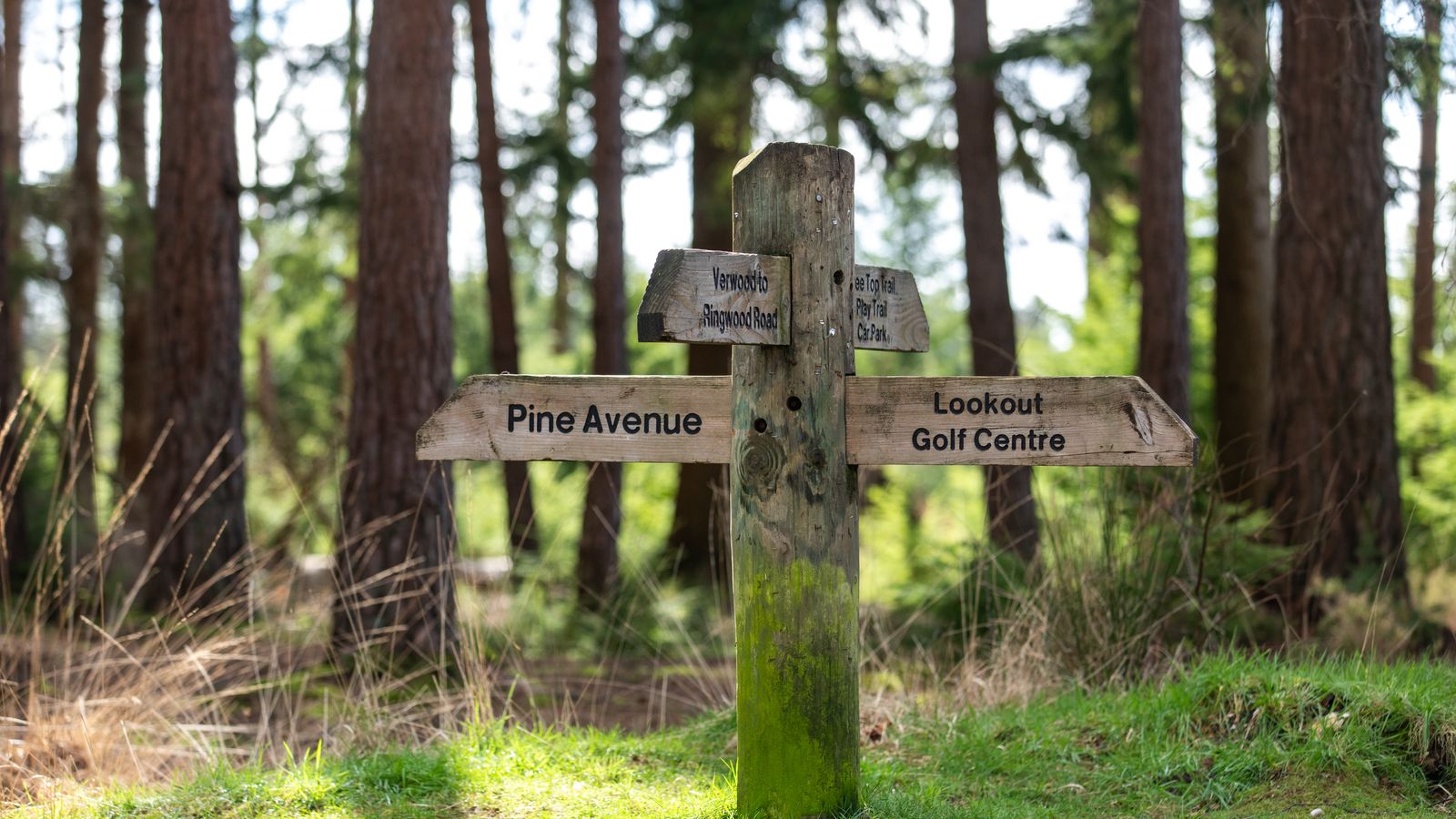 Vb5113711 A1191 044 Wimborne Local Area CALA Homes Thames 1600X900