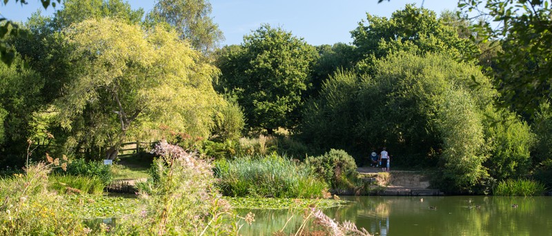 Vb705203 6507 42 Cala SHC Wivelsfield Local Area 800X342