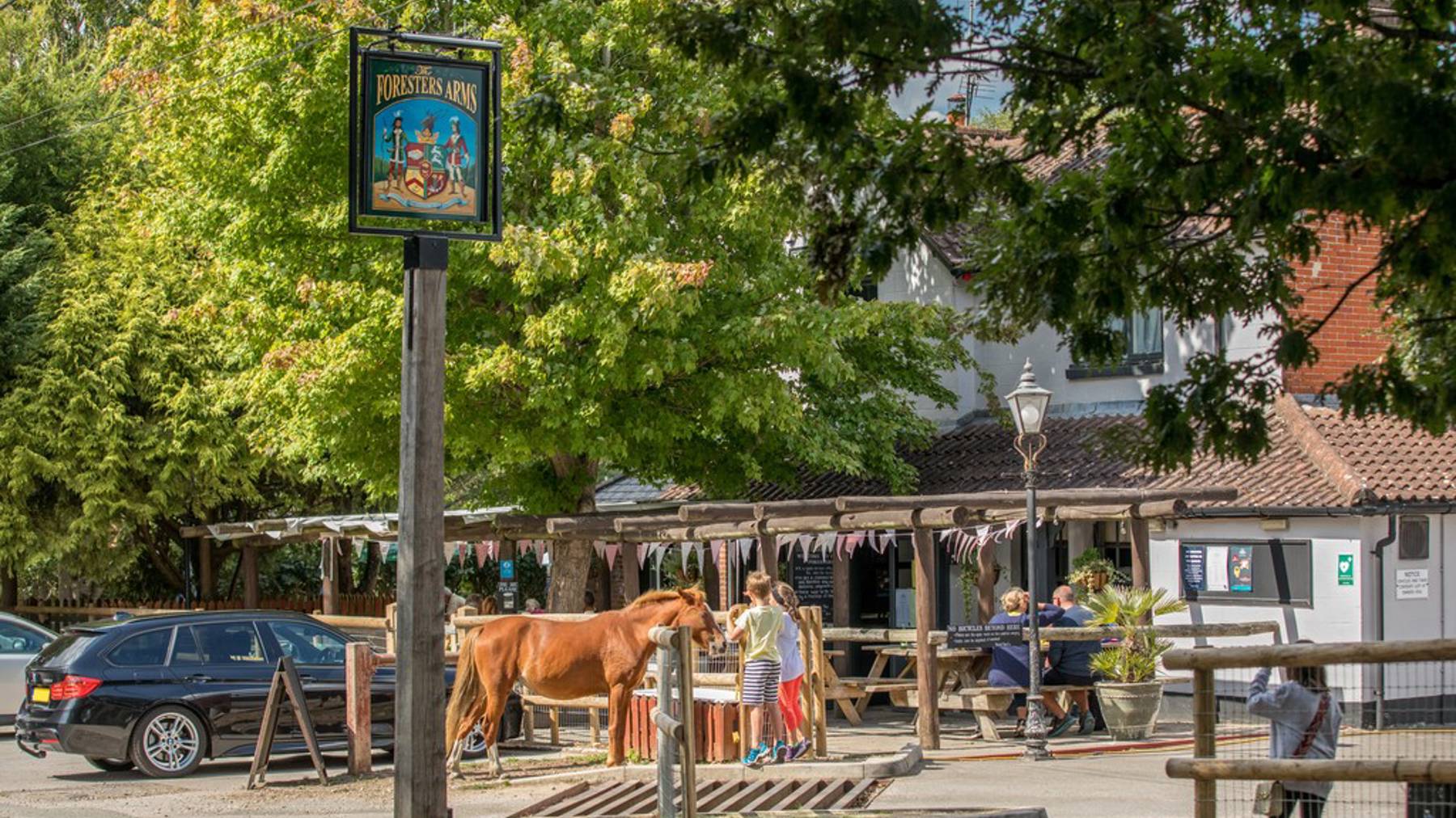 Knightwood Chase in Fordingbridge, New Forest