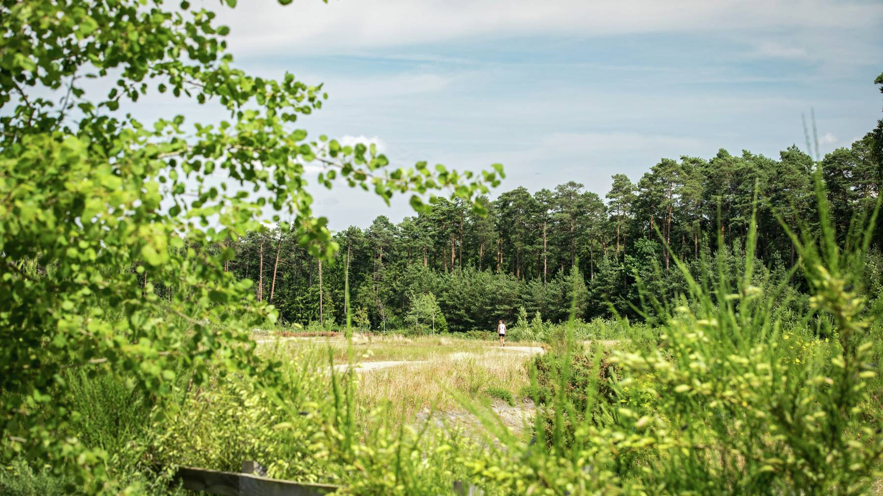 Bucklers Park, Crowthorne
