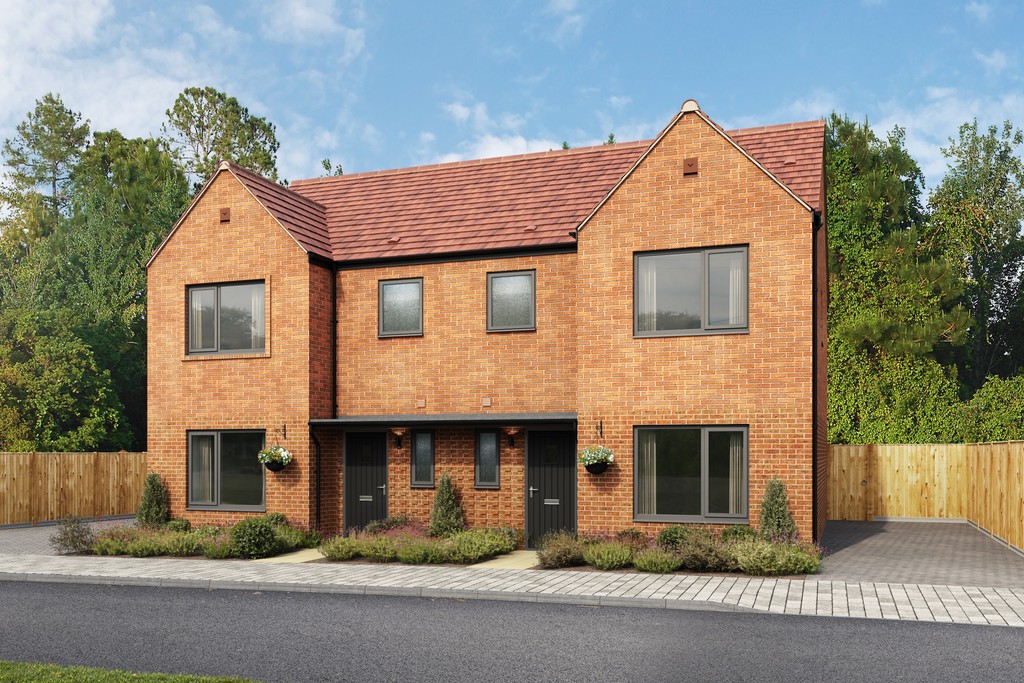 The Glades Plot 45 46 Fir