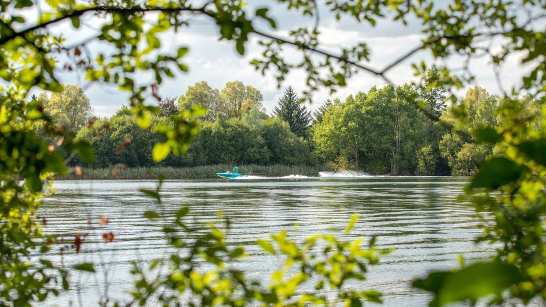 Knightwood Chase in Fordingbridge, New Forest