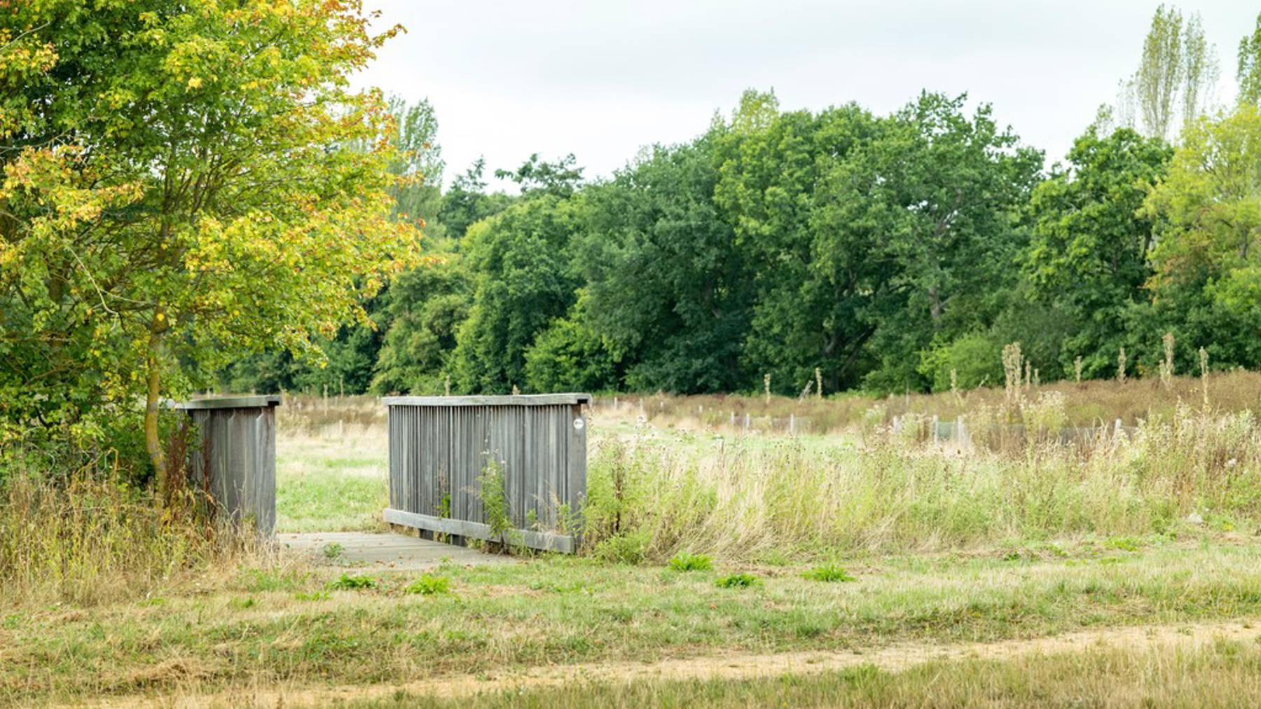 Local area photography for houses for sale in Finchampstead