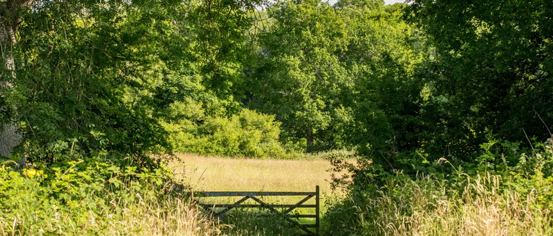 Vb2029417 8741 006 Horsham Rusper Local Area 800X342