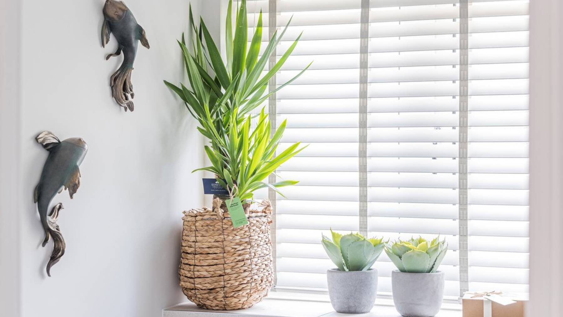 Showhome of Support at Chestnut Fields