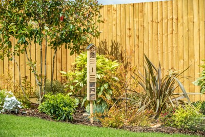 World Bee Day - Top tips for gardening with bees in mind