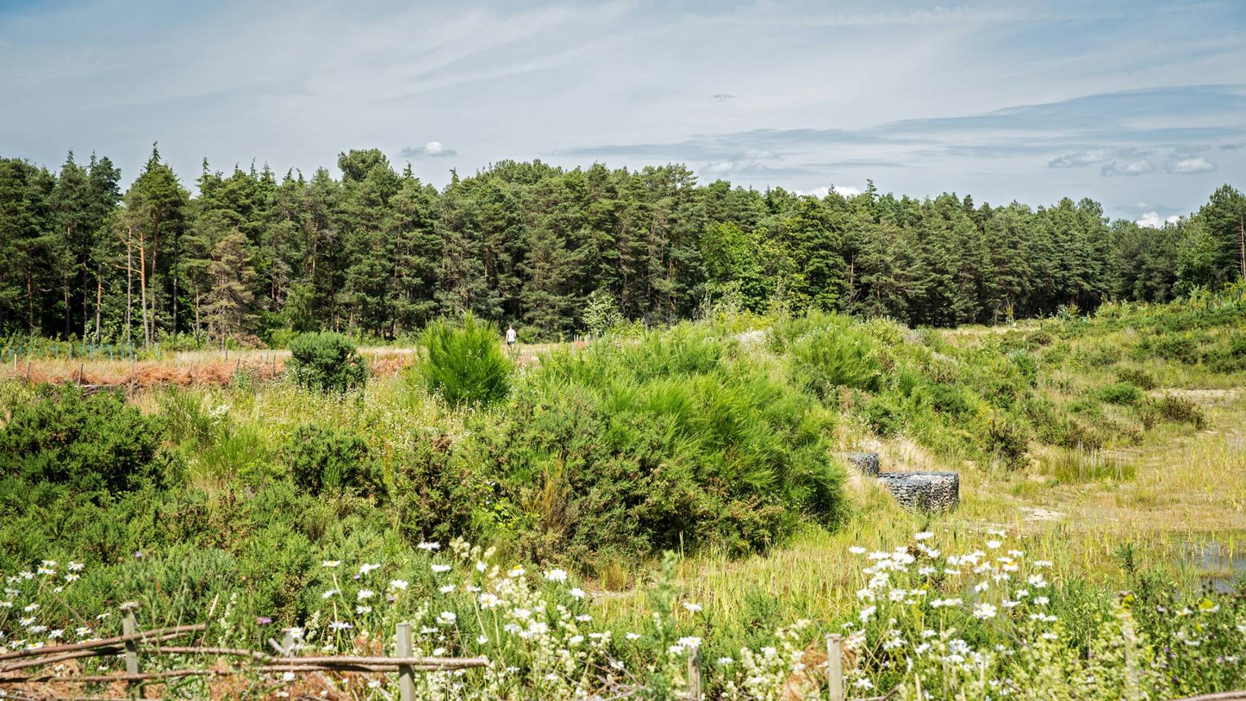 Crowthorne Local Area