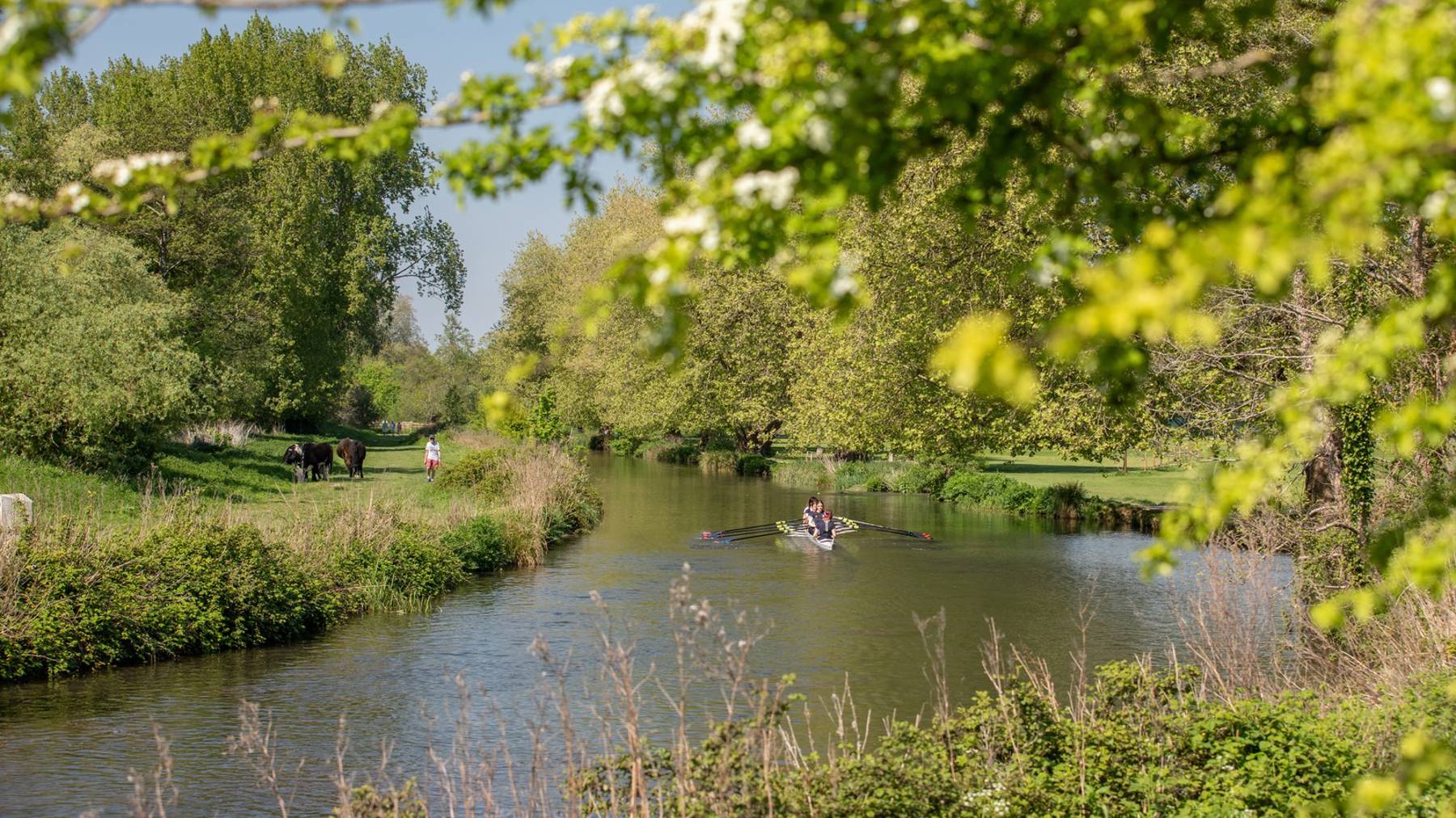 Local area photography for houses for sale in Winchester