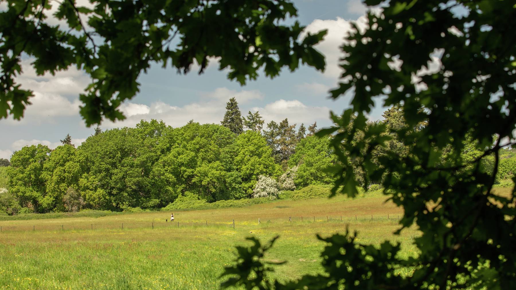 Local area photography of houses for sale in Woking