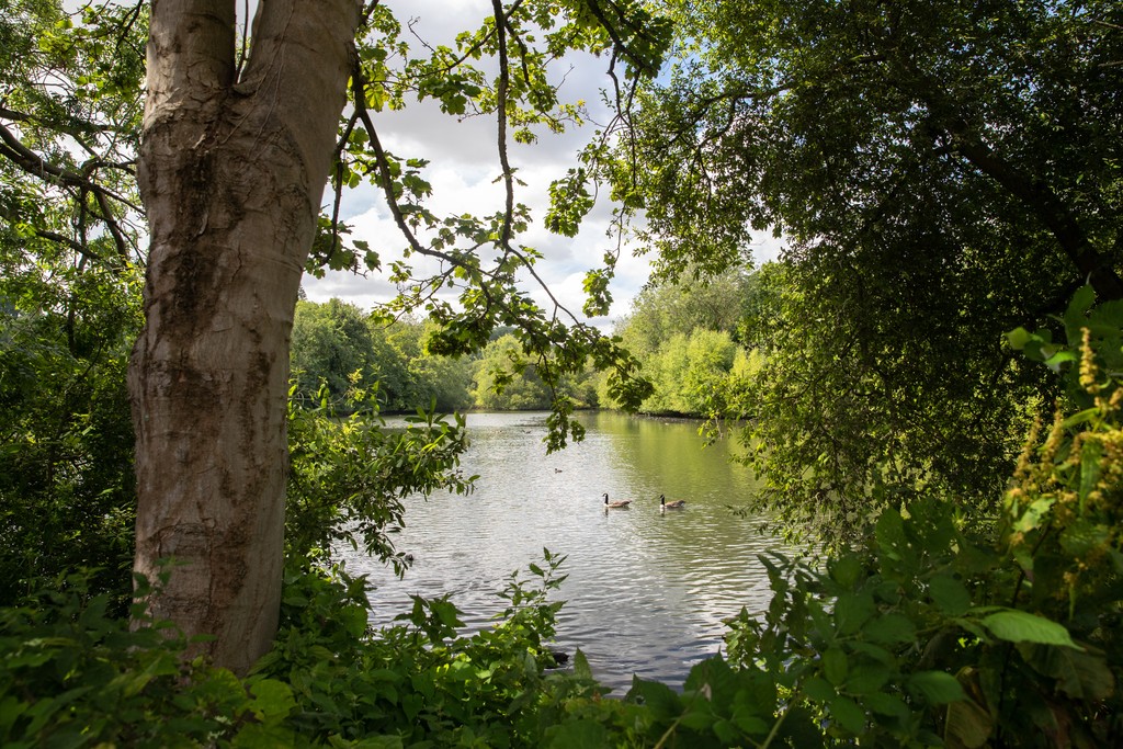 Vb1861428 8429 035 Alton Local Area Cala Homes Thames 1024X683