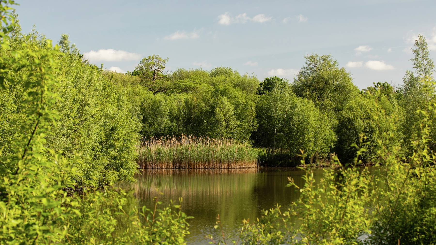 Local area photography for houses in Woking